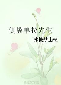 側翼單拉先生