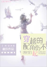 (快穿)穿越的配角傷不起