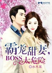 蜜愛甜妻,BOSS太危險