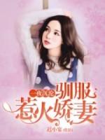 一夜沉淪:馴服惹火嬌妻