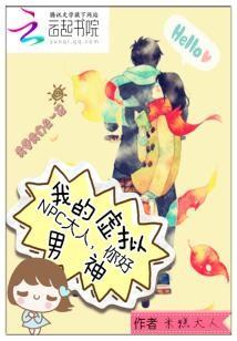 我的虛拟男神:NPC大人,你好
