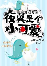 [綜英美]夜翼是個小可愛