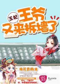 王妃,王爺又來拆牆了