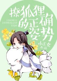 撩狐貍的正确姿勢