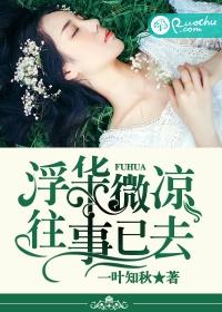 浮華微涼,往事已去