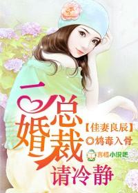 佳妻良辰,二婚總裁請冷靜