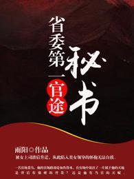 官途:省委第一秘書