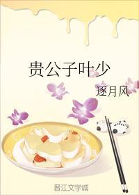 貴公子葉少