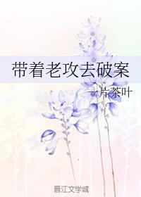 帶着老攻去破案