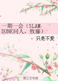 一期一會（SLAM DUNK同人，牧藤）