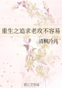重生之追求老攻不容易
