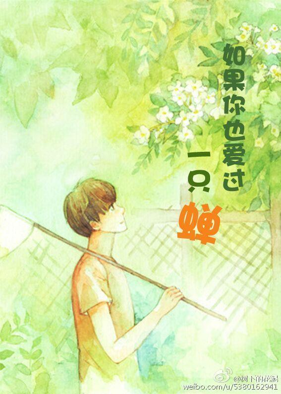 如果你也愛過一只蟬