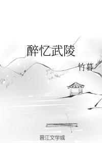 醉憶武陵