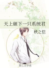 天上砸下一只系統君