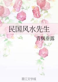 民國風水先生