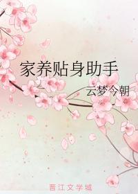 家養貼身助手