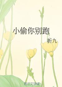 小偷你別跑