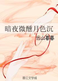 暗夜微醺月色沉
