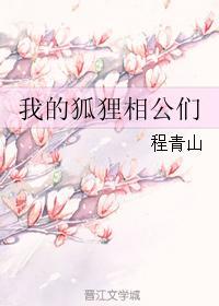 我的狐貍相公們
