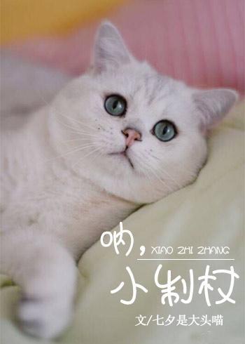 吶，小制杖