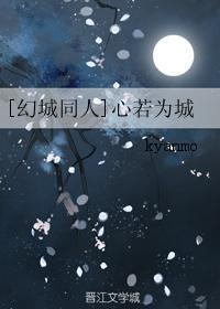 [幻城同人]心若為城