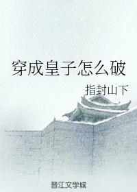 穿成皇子怎麽破