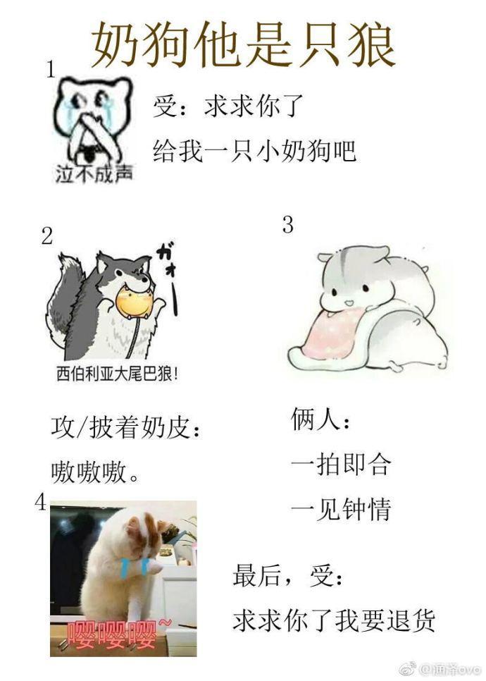 小奶狗是狼