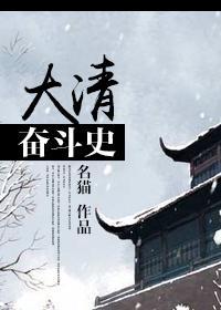 大清奮鬥史
