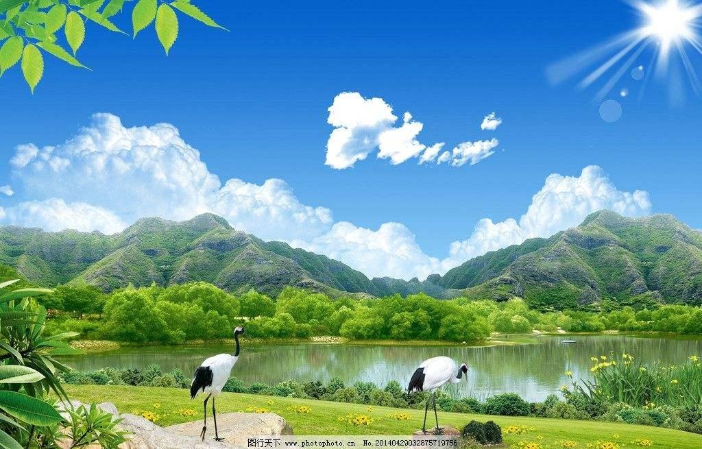 無遷有挂