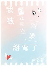我被游戲裏的對象掰彎了（全息）