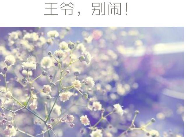 王爺 ，別鬧！