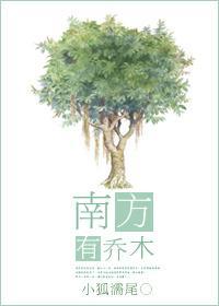 南方有喬木