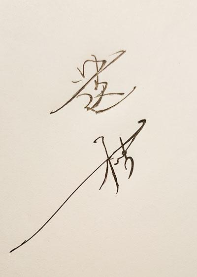 外寵