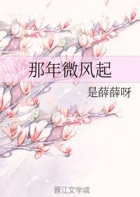 那年微風起