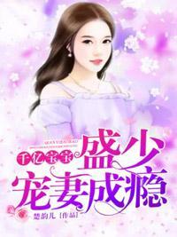 千億寶寶：盛少寵妻成瘾