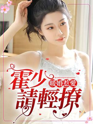 暖婚惹愛：霍少請輕撩