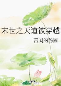 末世之天道被穿越