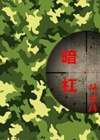 暗杠
