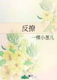 反撩