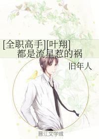 [全職高手][葉翔]都是流星惹的禍