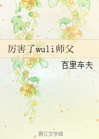 厲害了wuli師父