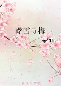 踏雪尋梅