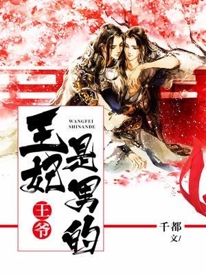 王爺，王妃是男的！