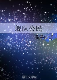 艦隊公民