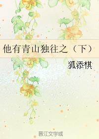他有青山獨往之（下）