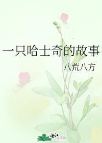 一只哈士奇的故事