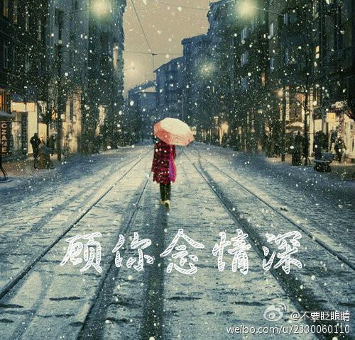顧你念情深