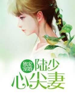 獨家寵婚陸少心尖妻