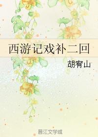 西游記戲補二回