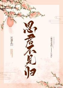 思君不見歸